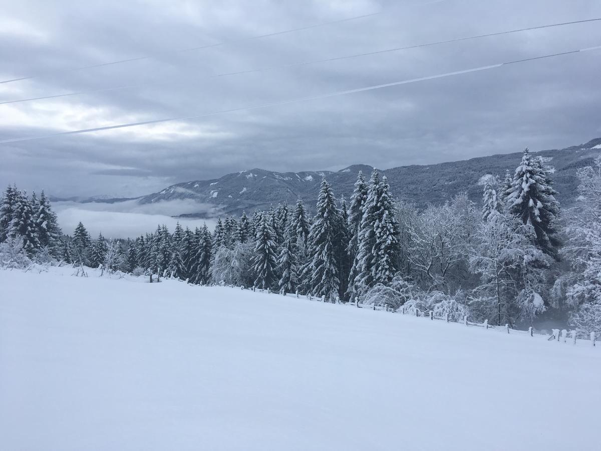 Naturgut Gailtal Sankt Stefan an der Gail Екстериор снимка